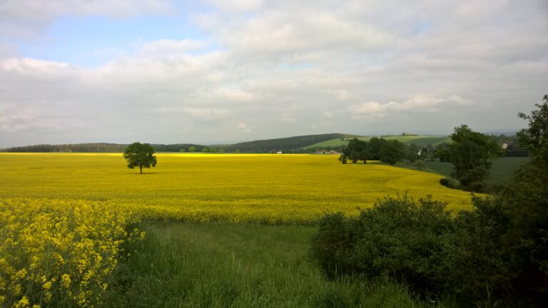 WP_20160525_17_35_30_Pro__highres