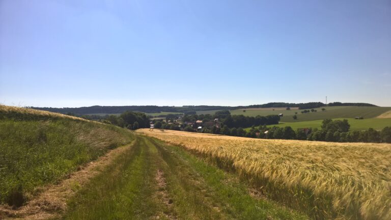 WP_20160623_16_30_53_Pro__highres