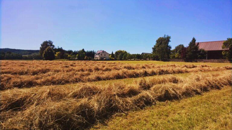 WP_20160624_15_13_11_Pro