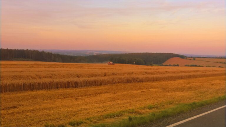 WP_20160807_20_36_04_Rich