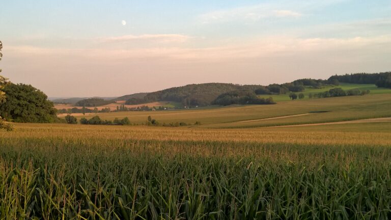 WP_20160815_19_41_47_Pro