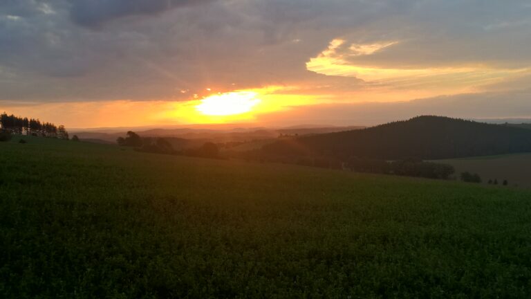 WP_20160930_07_32_19_Rich