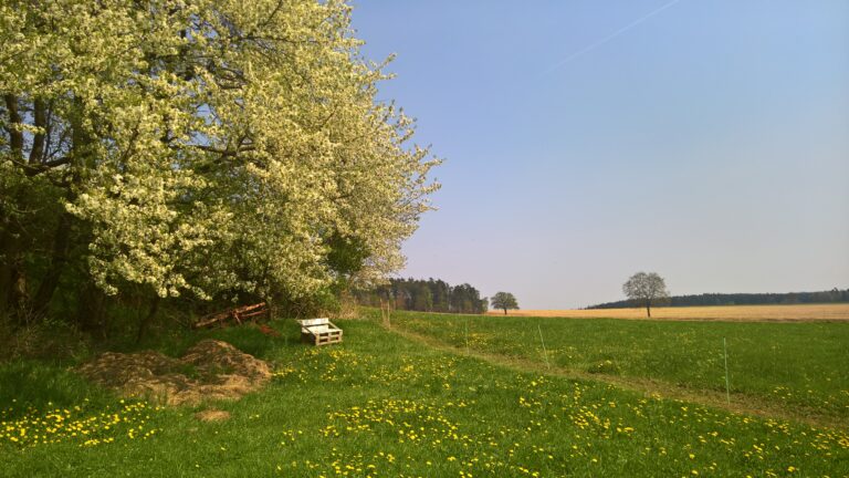 WP_20180422_11_55_00_Rich_LI