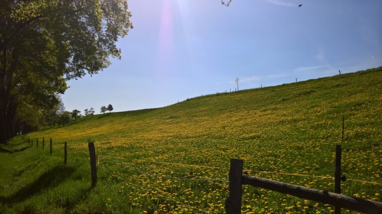 WP_20180427_16_19_17_Rich_LI