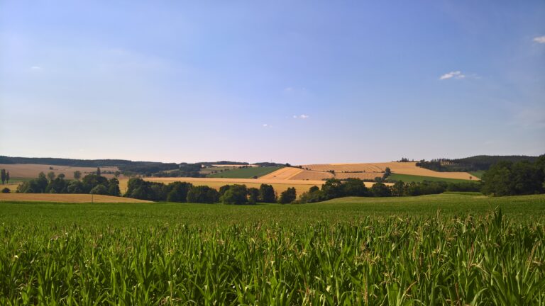 WP_20180718_17_07_19_Rich_LI